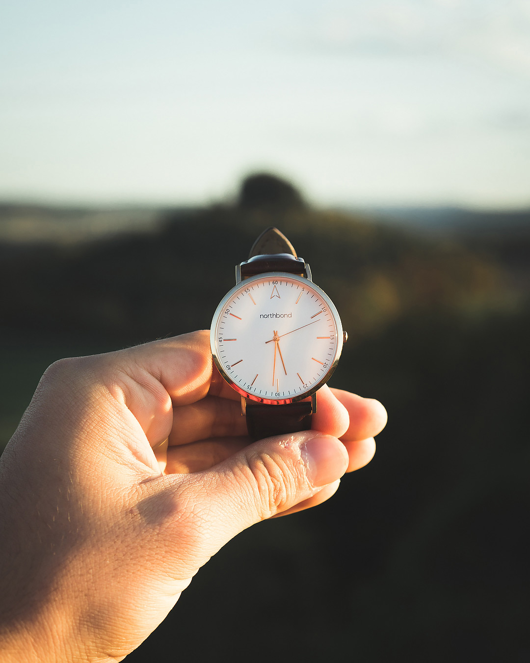 sail watch adventure