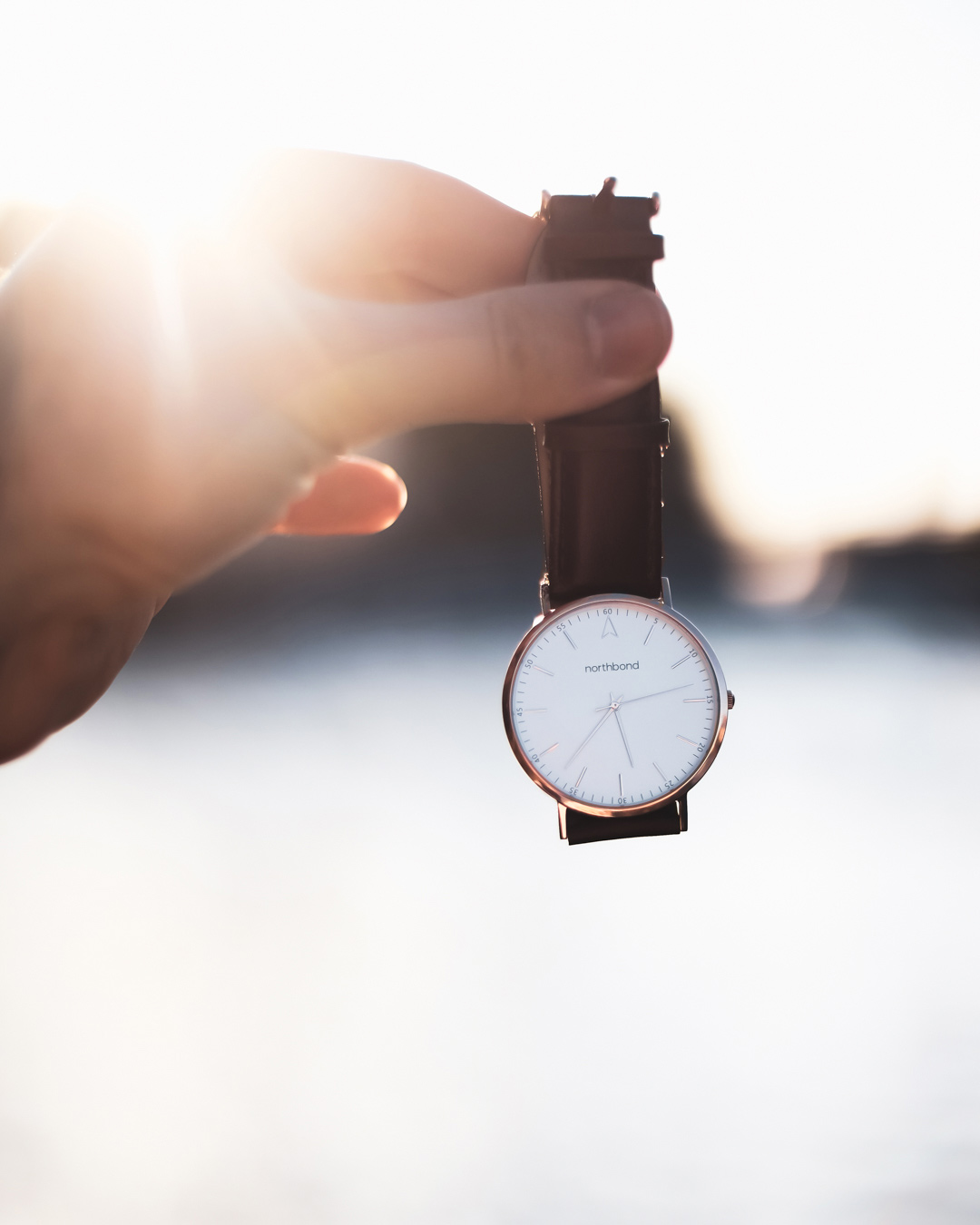 scandinavian design watch
